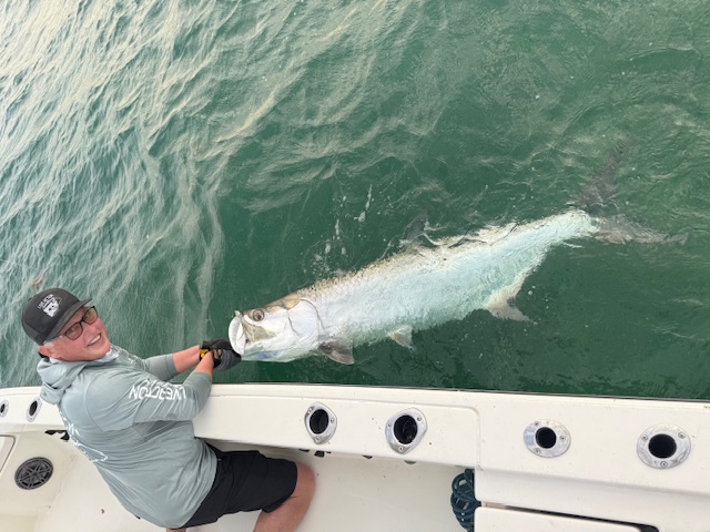 Key West: Tarpon at Dawn, Bones on the Flats, Sharks on the Tide