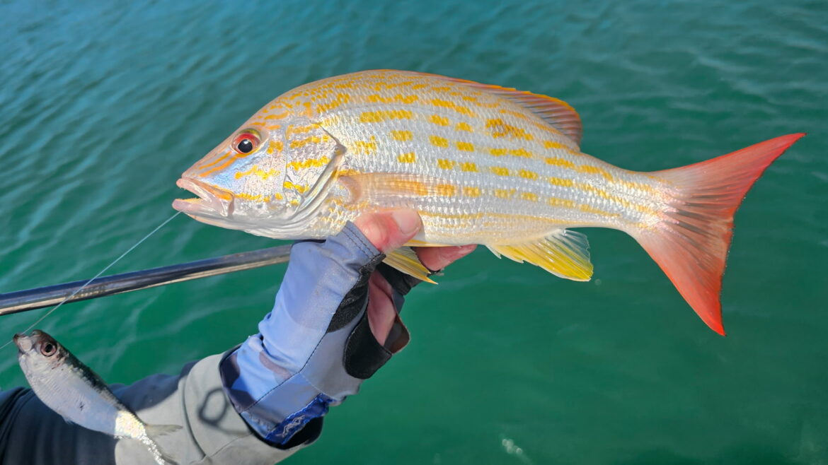 Key West Fishing Charters – Latest Report by Capt. Ryan Carter