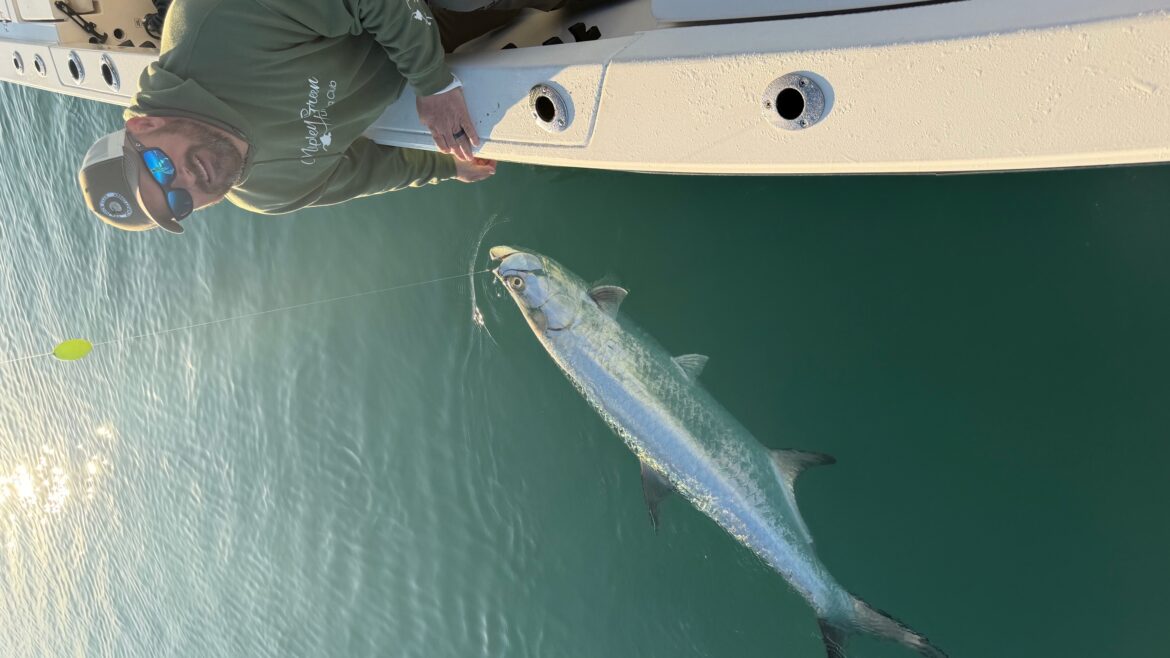 Key West Fishing Report | Tarpon, Cobia & Inshore Action